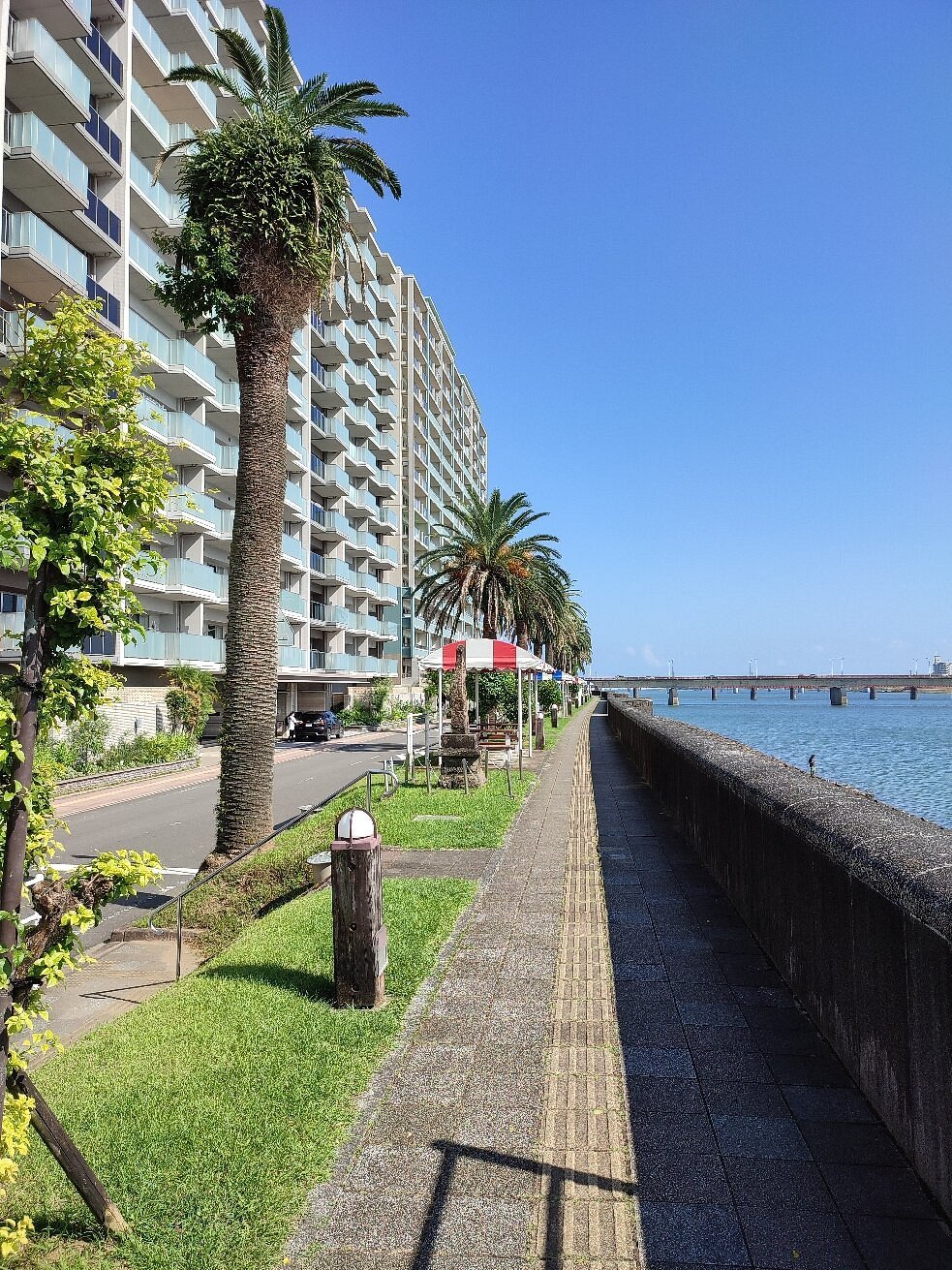 🏞️ 타치바나 공원 이미지 3